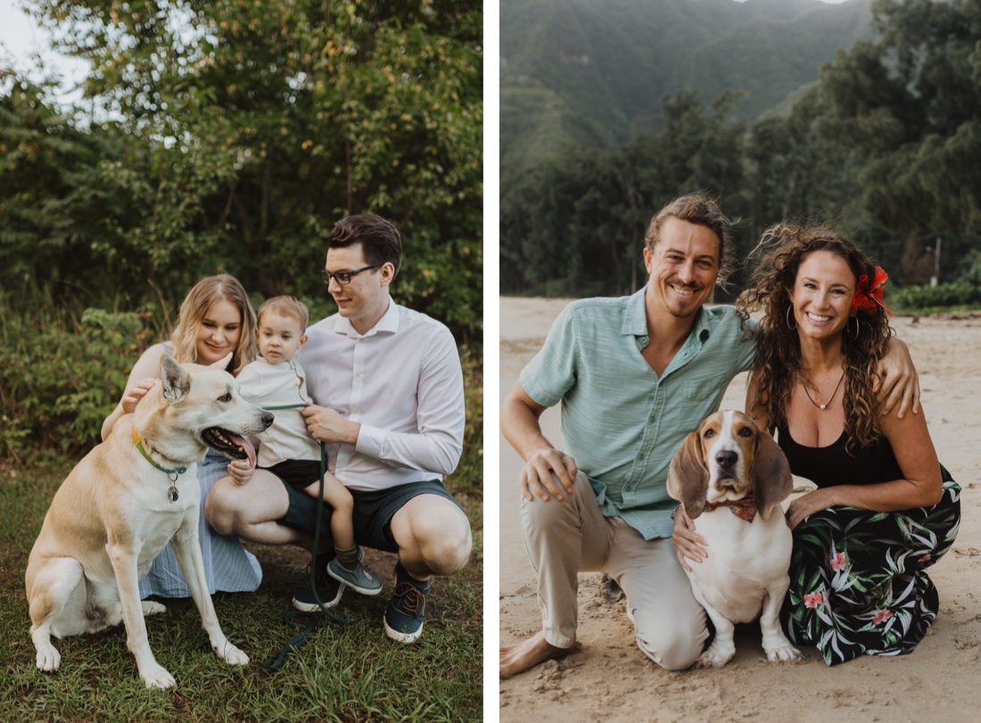 tips on how to bring your dog in your upcoming engagement
